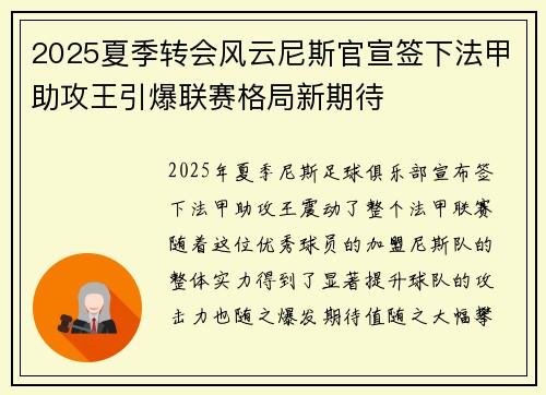 2025夏季转会风云尼斯官宣签下法甲助攻王引爆联赛格局新期待