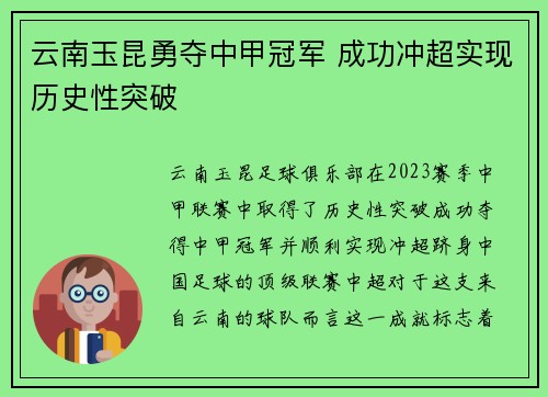 云南玉昆勇夺中甲冠军 成功冲超实现历史性突破